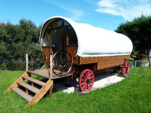 Wacky Stays - unique farm-stay glamping rentals, FREE animal feeding tours - Hotel - Kaikoura