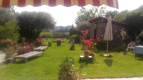 B&B Dora e Flavio Country Rooms - Accommodation - Montegrotto Terme