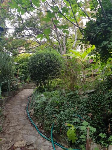 Maison Dolce Vita provencale