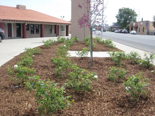 grădină, Americas Best Value Inn Porterville in Porterville
