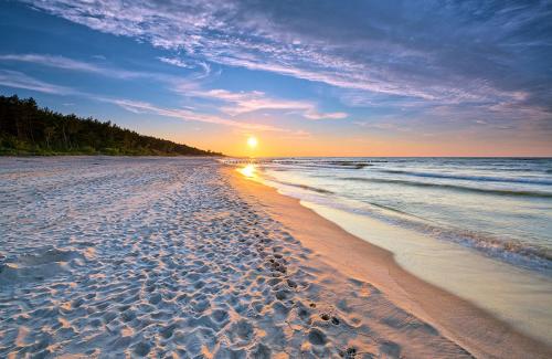Beach, Nemo Mielenko in Mielenko