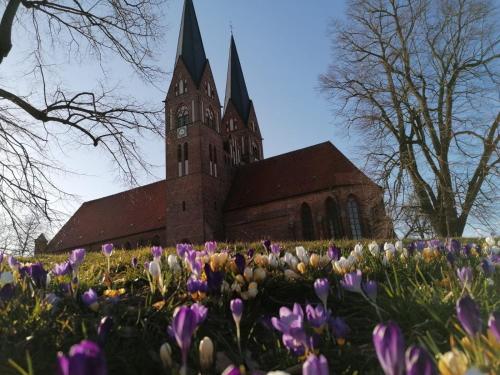 B&B Wagner - image 10