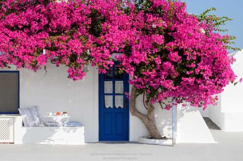Aghios Artemios Traditional Houses Room Type - Studio