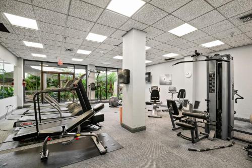 South Seas 1610 - image 6