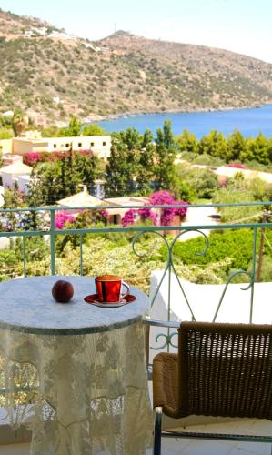 Creta Star - image 5