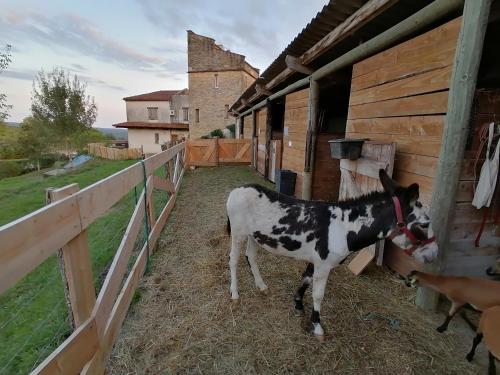 VILLA LES HAUTS VALLONS