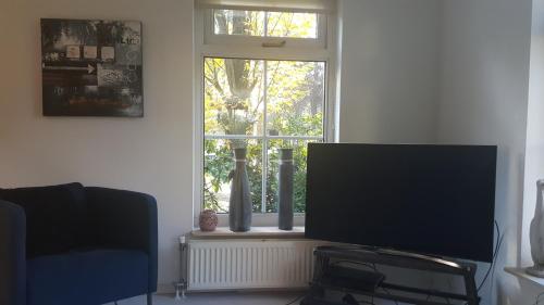 De Witte Bergen 80