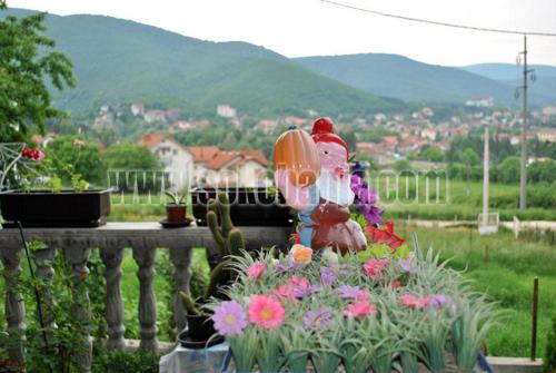 Iva Smederevac - image 3
