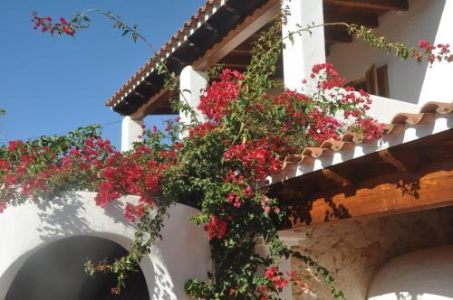 Can Claude Sa Vinya gîte à louer Santa Gertrudis de Fruitera