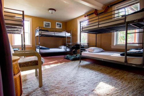 Single Bed in Mixed Dormitory Room