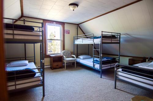 Single Bed in Mixed Dormitory Room