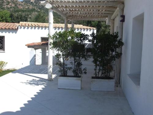 Residenza Nialiccia – Porto Cervo, NJ