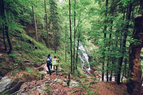 Pohorje Village Wellbeing Resort - Forest Hotel Videc