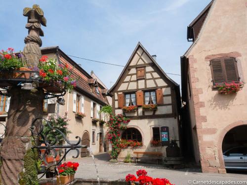 Coeur d'Alsace Colmar Vignobles Ouest avec terrasses