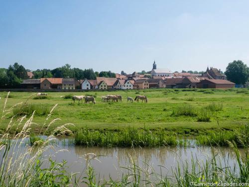 Coeur d'Alsace Colmar Vignobles Ouest avec terrasses