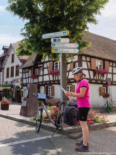 Coeur d'Alsace Colmar Vignobles Ouest avec terrasses