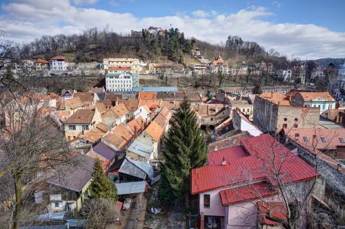 Vila Alba Brasov - image 14
