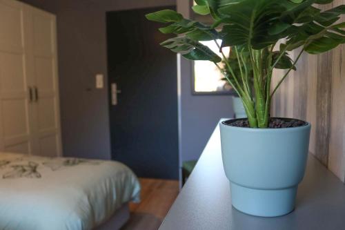 Pension Kärnten - image 5