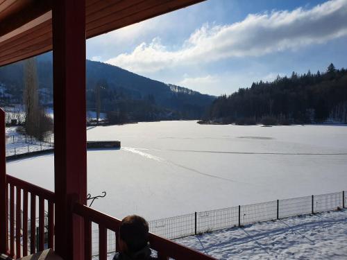 Le Lac Des Moines - image 6
