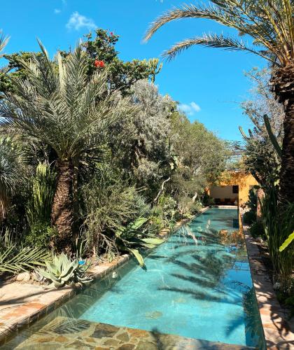 Dar al Hossoun - Taghazout Dar al Hossoun - Taghazout
