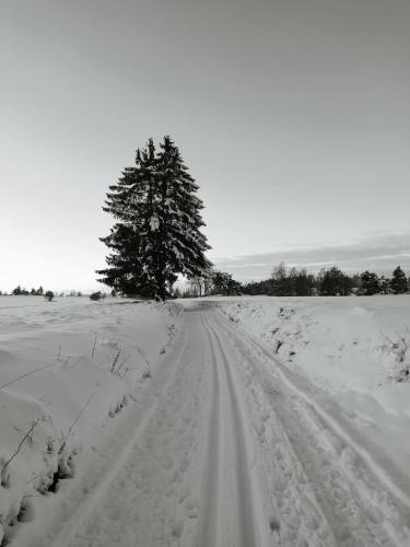 Matějovec 109 & Ubytování Na statku