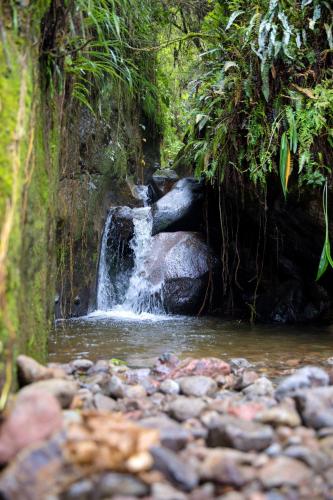 Santagua Termas de Chachimbiro