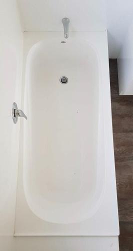 A Place in the Paddock in Matamata