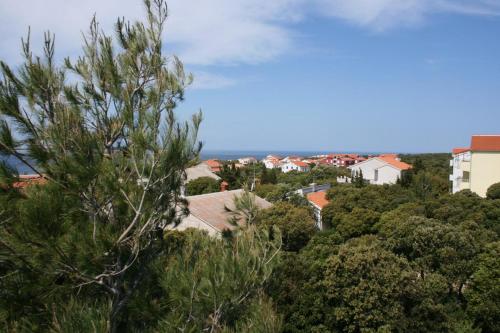 Apartments and rooms with parking space Mandre, Pag - 6309