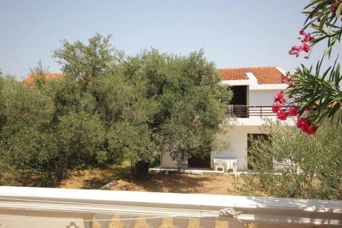 Apartments by the sea Tkon, Pasman - 8297