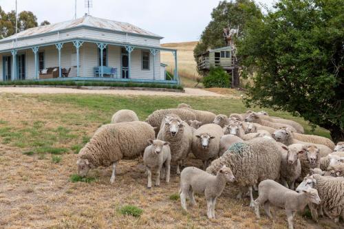 CHARTER FARM - FIND YOUR HAPPY HAMLET