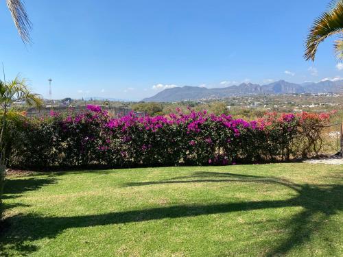 Casa de las Palmeras Lomas de Cocoyoc in Atlatlahucan, Mexico