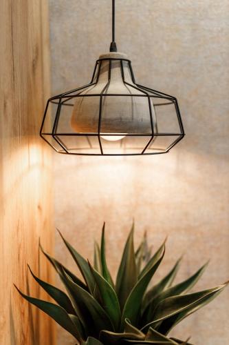 SCHUSTER Boarding House - image 3