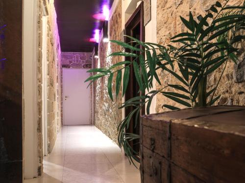 Villa Asfodelo Guest House & Relax 3