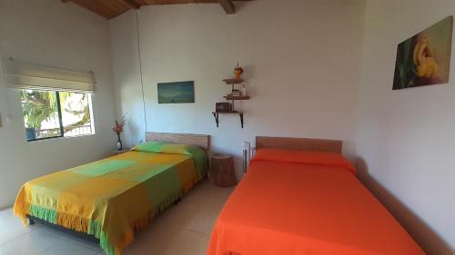 Rock Forest Farm Finca Agroecologica El Balsal