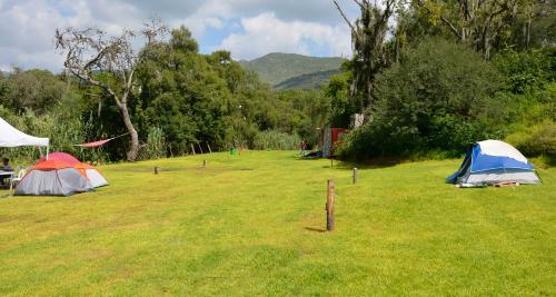 Hospedaje y Zona de Camping Pistacho in Villa De Leyva