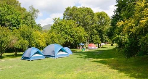 Hospedaje y Zona de Camping Pistacho in Villa De Leyva