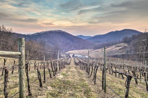 Spacious Faber Home with Yard, Steps to Winery!