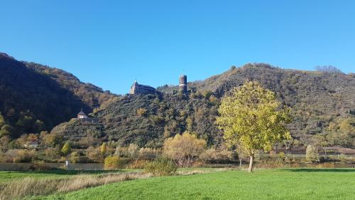 Ferienhaus Leopold mit Burgblick an der Mosel