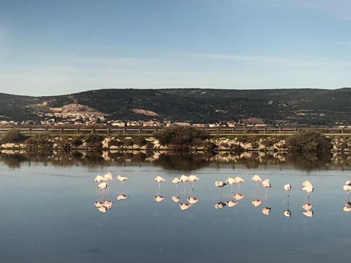 FLAMANTS ROSES 1 pers 6 - Camping - Frontignan