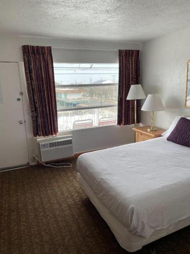 Pink Champagne Motel - image 9
