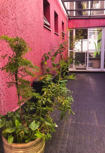 Facilities, Viva Hostel Design in Pinheiros