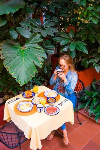 The Red Tree House – Mexico City, CT