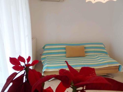 Apartments in Fazana - Istrien 8456 - image 5