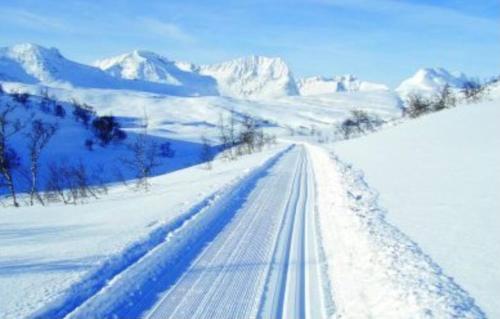 Oppdal Alpintun ski in ski out