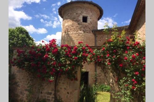 Domaine de la Durantie Duplex Vieux Chateau