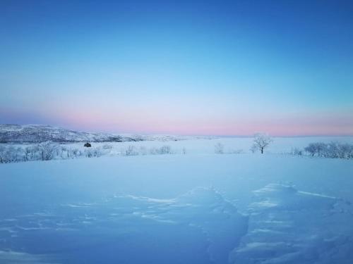 Aurora Hut - luksusmajoitus iglu tunturilammella Pohjois-Lapissa Nuorgamissa