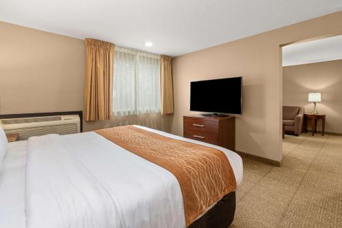 Comfort Inn And Suites West Beaverton