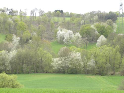 Thüringer Hof - image 10