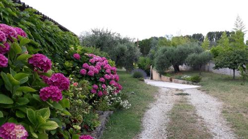 L'Olivette - Location saisonnière - Montfrin