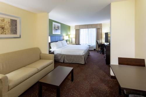 Holiday Inn Express and Suites Rochester West-Medical Center by IHG